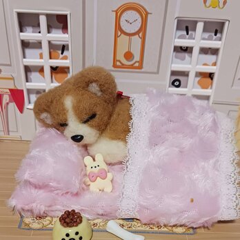 フカフカピンクの布団で寝ている可愛いワンちゃん　　羊毛の画像