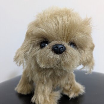 ふわふわぬいぐるみ☆トイプードル☆トイスケルトン☆の画像