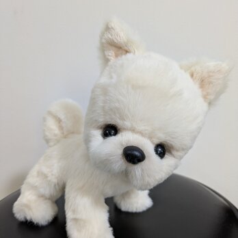 ふわふわぬいぐるみ☆ポメラニアン☆トイスケルトンの画像