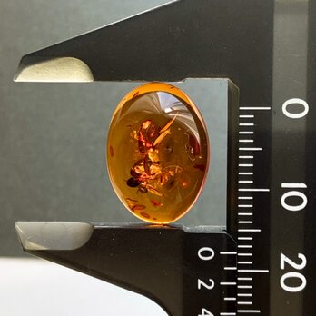 バルティックアンバー[195] 18x13mm 4Cts　天然石 ／ ルース ／カボションの画像