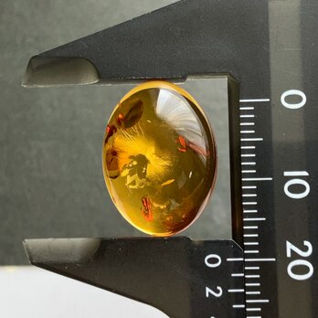 バルティックアンバー[200] 20x15mm 7Cts　天然石 ／ ルース ／カボションの画像
