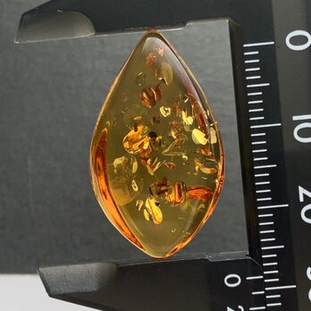 バルティックアンバー[216] 29x17mm 9Ctsの画像