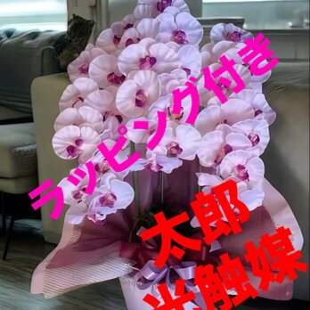 光触媒　人工観葉植物　ウォールグリーン　フェイクグリーン　胡蝶蘭7845の画像