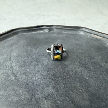 【143】モルフォ蝶の楽園 – トーマス・L・モット アンティークリングの画像