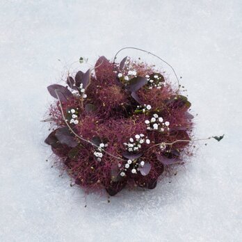 スモークツリーのミニリース18cm-赤