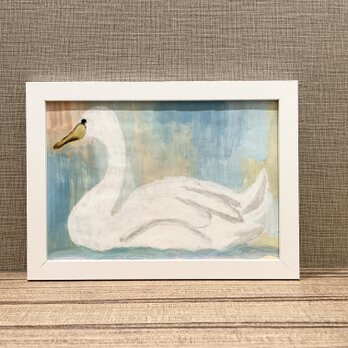 白鳥の画像
