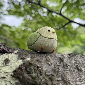 木目込み セキセイインコ（黄緑）の画像