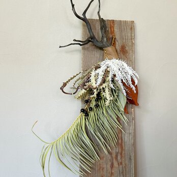 Botanical Swag ― 流木と弧の画像