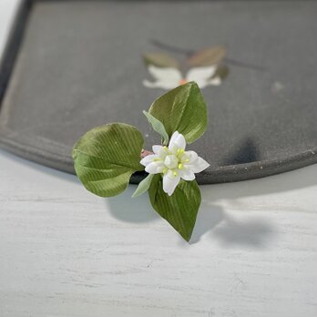 布花意外にかわいい、レアな八重のドクダミのブローチの画像