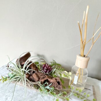 Botanical Tray ― 澄の画像