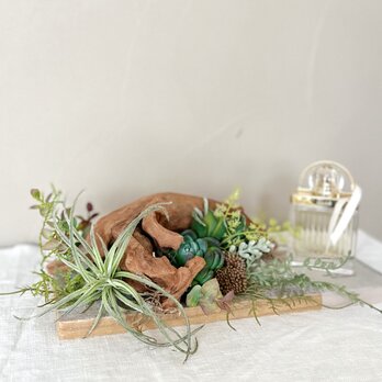 Botanical Tray ― 彩の画像