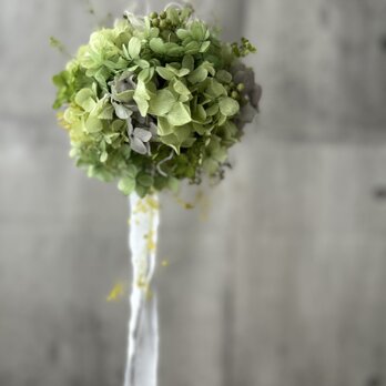 W25002 緑を楽しむフライングリース