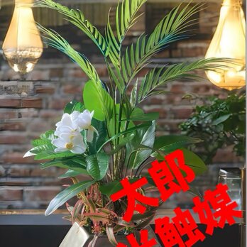 光触媒　人工観葉植物　ウォールグリーン　フェイクグリーン　アレカヤシアレンジ80の画像