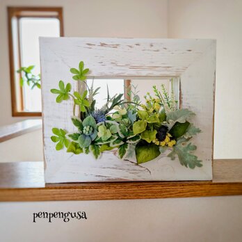 植物風景　ナチュラルグリーンインテリアの画像