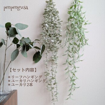 大人ナチュラルグリーンセットの画像
