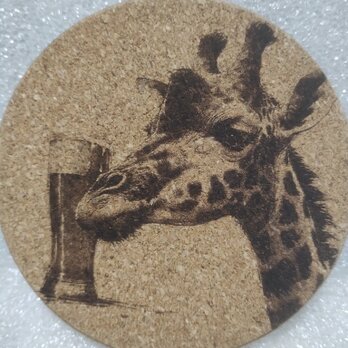 コースター　キリンとビールの画像