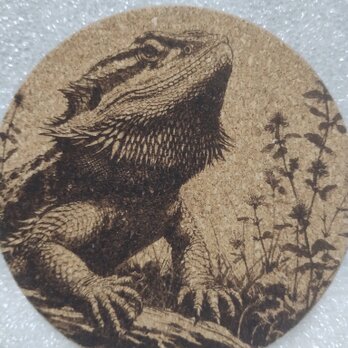 コースター　フトアゴヒゲトカゲの画像