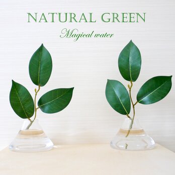 魔法のお水 Fuji「マジカルウォーター　厳かで　清らかな　榊　富士型」光触媒加工済