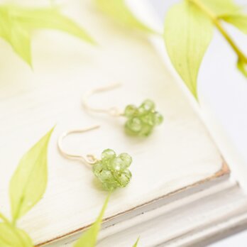 【14kgf ピアス】新芽 若葉 若草 イエローグリーン ペリドットの実 金平糖 8月誕生石／誕生日プレゼントにもの画像