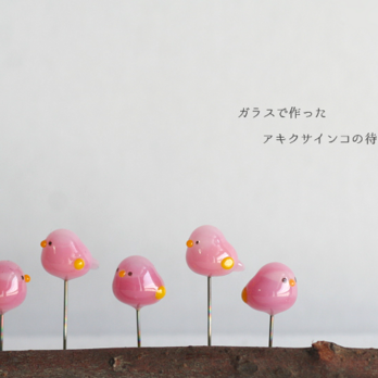 ガラスで作ったアキクサインコの待ち針の画像
