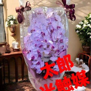 光触媒　人工観葉植物　ウォールグリーン　フェイクグリーン　胡蝶蘭8550の画像