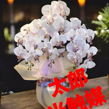 光触媒　人工観葉植物　ウォールグリーン　フェイクグリーン　胡蝶蘭7647の画像