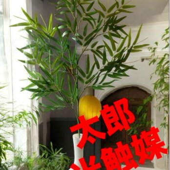 光触媒　人工観葉植物　ウォールグリーン　フェイクグリーン　七夕　笹108の画像