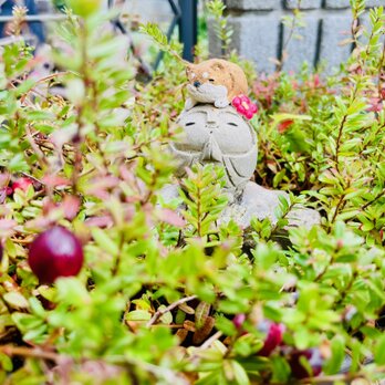 【new】日本の仔犬とお地蔵さまの画像
