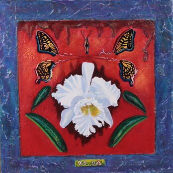 アクリル「Schema- Cattleya」の画像