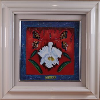 アクリル「Schema- Cattleya」