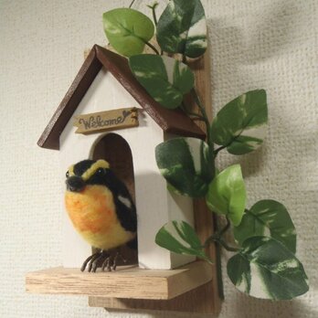 小鳥の壁掛け　茶の画像