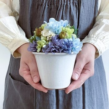 【Hydrangea / ハイドランジア】　SS  　クリアの画像