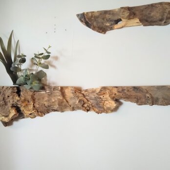 樫・古木のアンティークディスプレイ ウォールラック ～ ポストカード・写真・植物