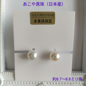 あこや真珠（日本産）のピアスの画像