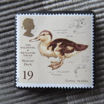 イギリス　野鳥保護切手ブローチ10487の画像