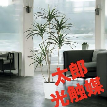 光触媒　人工観葉植物　ウォールグリーン　フェイクグリーン　東北コンシンネ180の画像