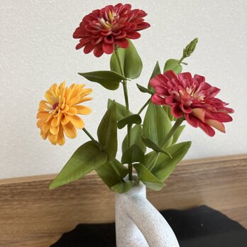 百日草　(ジニア)の画像