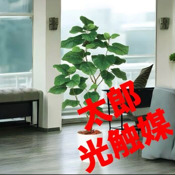 光触媒　人工観葉植物　ウォールグリーン　フェイクグリーン　ウンベラータ2本立FSTの画像