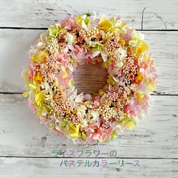 初夏の風薫る！ライスフラワーのパステルカラーリースの画像