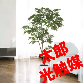 光触媒　人工観葉植物　ウォールグリーン　フェイクグリーン　エバーフレッシュ150FSTの画像