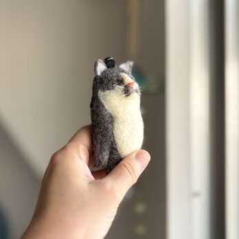【mini】濃いグレーのハチワレ猫のキーホルダーの画像