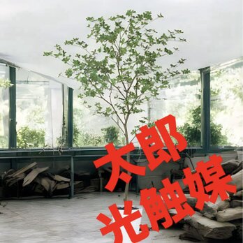 光触媒　人工観葉植物　ウォールグリーン　フェイクグリーン　ドウダンツツジ200FSTの画像