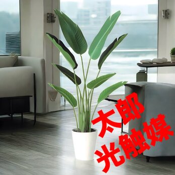 光触媒　人工観葉植物　ウォールグリーン　フェイクグリーン　オーガスタ110の画像