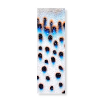 抽象画のかけら 栞　墨 × 和紙 × プラスチック加工｜12.5×4cmの画像