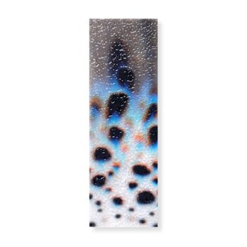 抽象画のかけら 栞　墨 × 和紙 × プラスチック加工｜12.5×4cmの画像