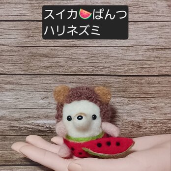 スイカぱんつハリネズミ 羊毛フェルトの画像