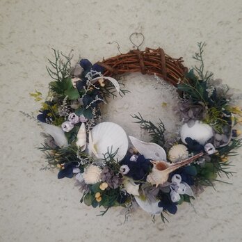 夏の貝殻wreathの画像
