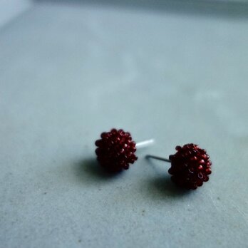 Sucre roux / redの画像