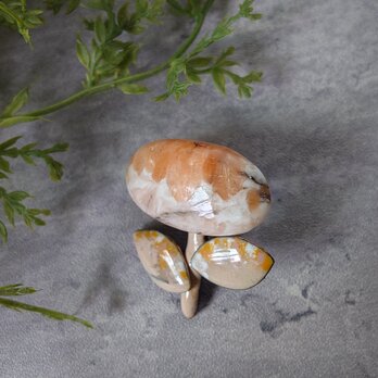 ちっちゃな ミカン花の画像