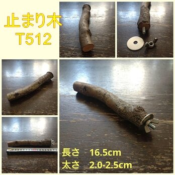 止まり木（枝：TOY-08-015）T512の画像